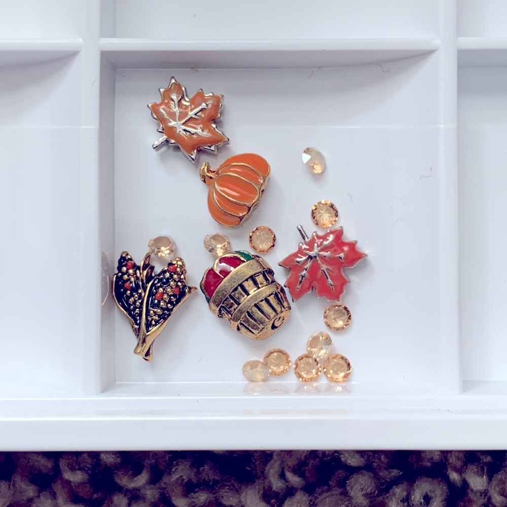 Origami Owl Charms